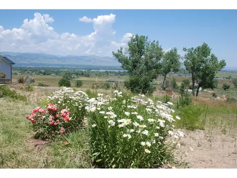 7233 Spring Ct, Boulder, CO 80303 photo 12