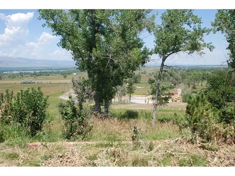 7233 Spring Ct, Boulder, CO 80303 photo 14