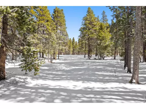 286 Chieftain Rd, Black Hawk, CO 80422 photo 43