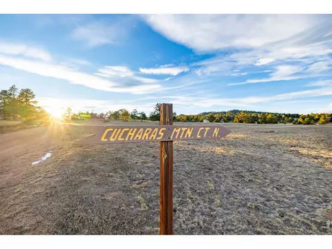 120 N Cucharas Mountain Ct, Livermore, CO 80536