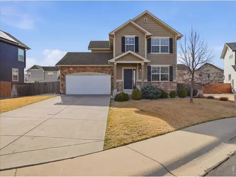 1565 Basildon Ct, Windsor, CO 80550 photo 3