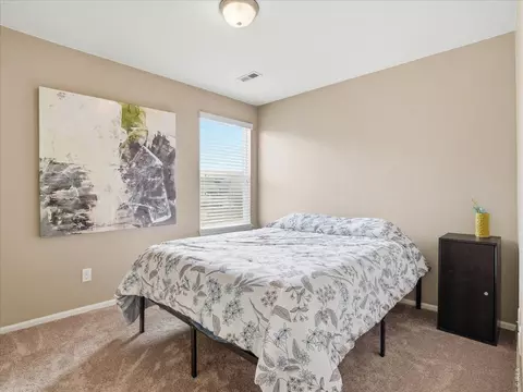 1565 Basildon Ct, Windsor, CO 80550 photo 17