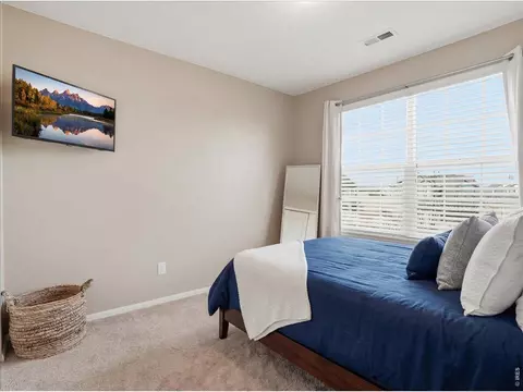 1565 Basildon Ct, Windsor, CO 80550 photo 19