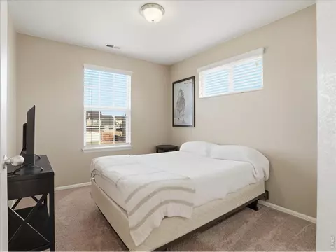 1565 Basildon Ct, Windsor, CO 80550 photo 18