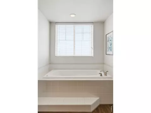 Bath - 232 River View Ct, Longmont, CO 80501 photo 3 of 8