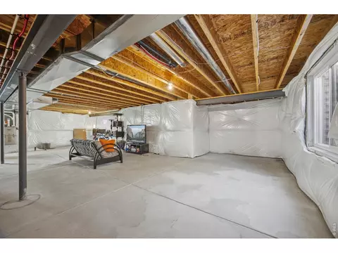 Other - 945 Mt Shavano Ave, Severance, CO 80550 photo 4 of 5