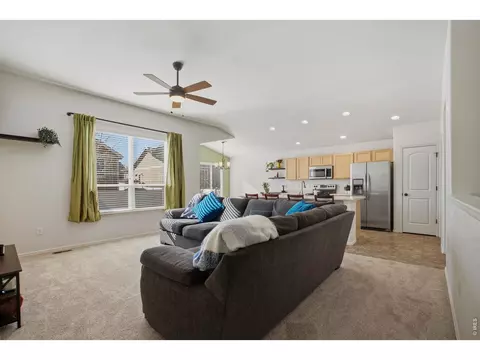 Other - 945 Mt Shavano Ave, Severance, CO 80550 photo 1 of 5