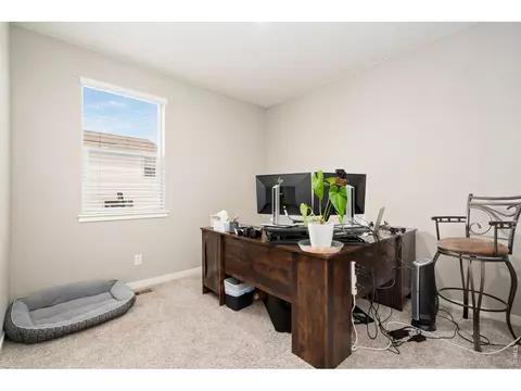 Other - 1331 Copeland Falls Rd, Windsor, CO 80550 photo 1 of 4