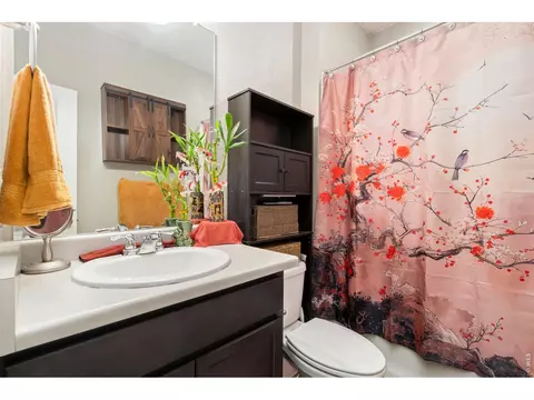 Bath - 1331 Copeland Falls Rd, Windsor, CO 80550 photo 1 of 2