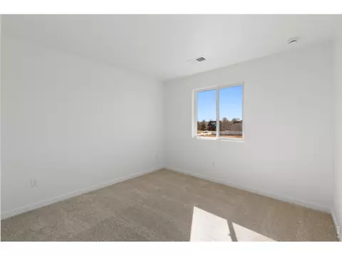 1448 Boyle St, Windsor, CO 80550 photo 19