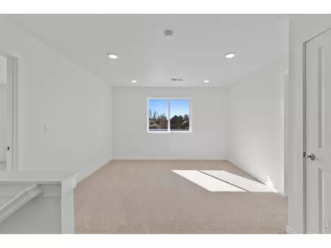 1448 Boyle St, Windsor, CO 80550 photo 15