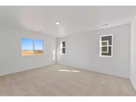 1448 Boyle St, Windsor, CO 80550 photo 17