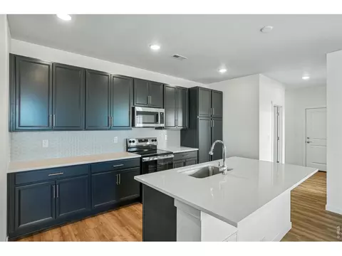 4516 Burl St, Timnath, CO 80547 photo 17