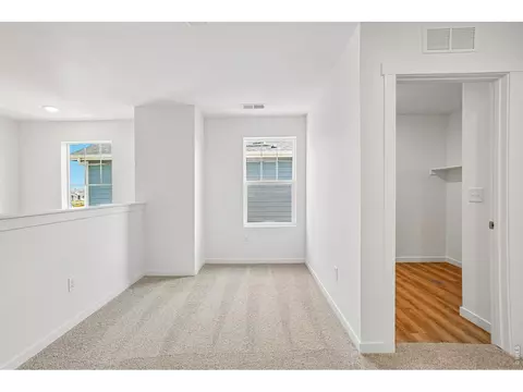 4516 Burl St, Timnath, CO 80547 photo 22