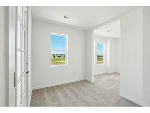 4516 Burl St, Timnath, CO 80547 photo 28