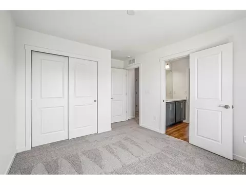 4516 Burl St, Timnath, CO 80547 photo 37