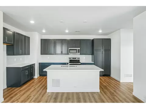 4516 Burl St, Timnath, CO 80547 photo 16