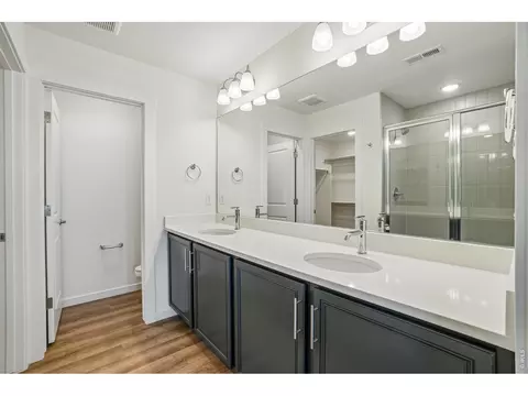 4516 Burl St, Timnath, CO 80547 photo 29