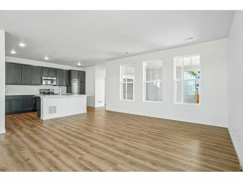 4516 Burl St, Timnath, CO 80547 photo 12