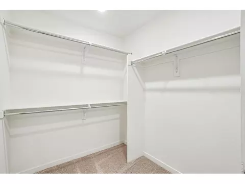 4516 Burl St, Timnath, CO 80547 photo 31