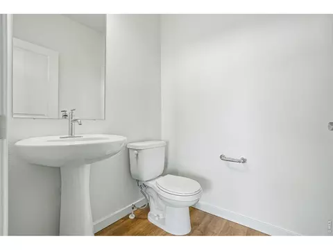 4516 Burl St, Timnath, CO 80547 photo 36