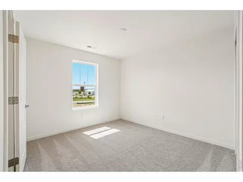 4516 Burl St, Timnath, CO 80547 photo 35