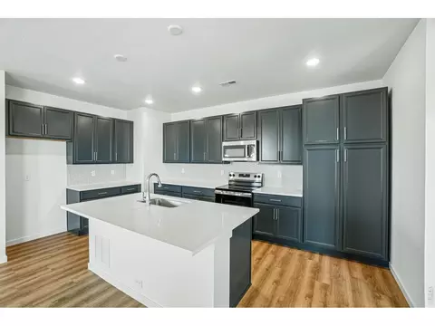 4516 Burl St, Timnath, CO 80547 photo 15