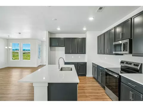 4516 Burl St, Timnath, CO 80547 photo 14