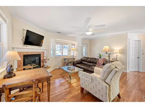 Living - 245 High St, Lyons, CO 80540 photo 3 of 3