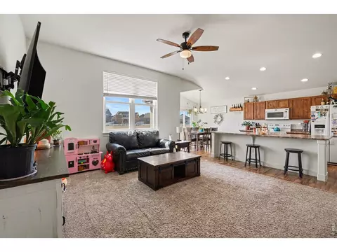 Other - 915 Barasingha St, Severance, CO 80550 photo 1 of 5
