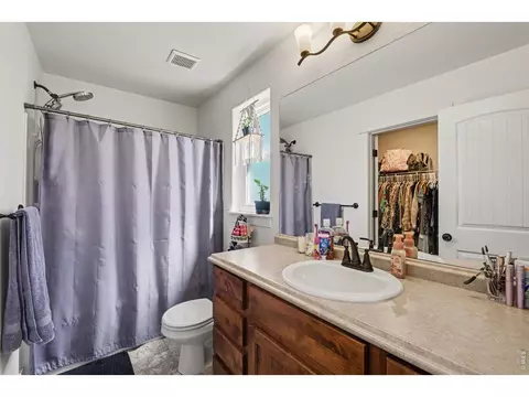 Bath - 915 Barasingha St, Severance, CO 80550 photo 1 of 2