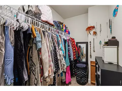 Other - 915 Barasingha St, Severance, CO 80550 photo 2 of 5