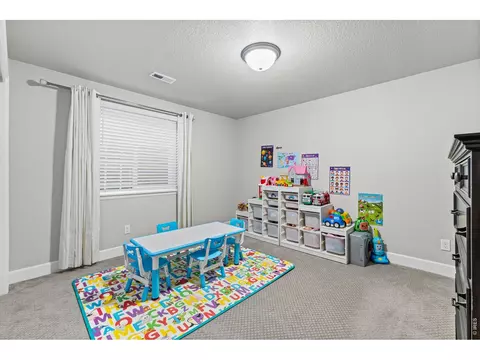 Other - 295 Redmond Dr, Windsor, CO 80550 photo 7 of 8