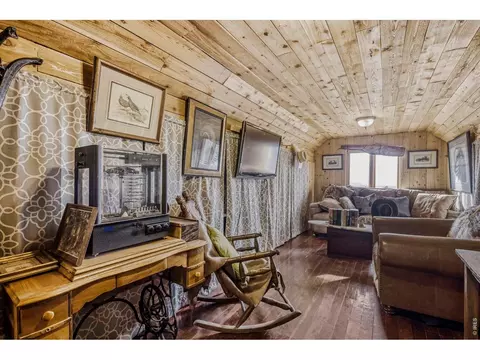 Living - 1042 Steamboat Valley Rd, Lyons, CO 80540 photo 4 of 5