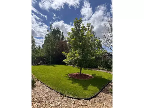 Exterior - 883 Emerald Dr, Windsor, CO 80550 photo 11 of 12