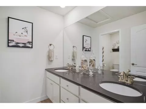 Bath - 6997 Thunderview Dr, Timnath, CO 80547 photo 3 of 5