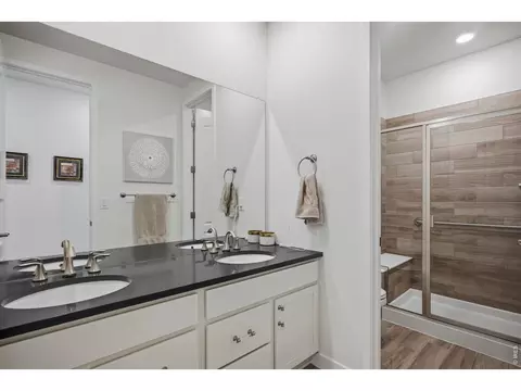 Bath - 6997 Thunderview Dr, Timnath, CO 80547 photo 5 of 5