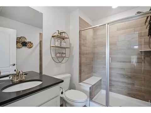 Bath - 6997 Thunderview Dr, Timnath, CO 80547 photo 4 of 5