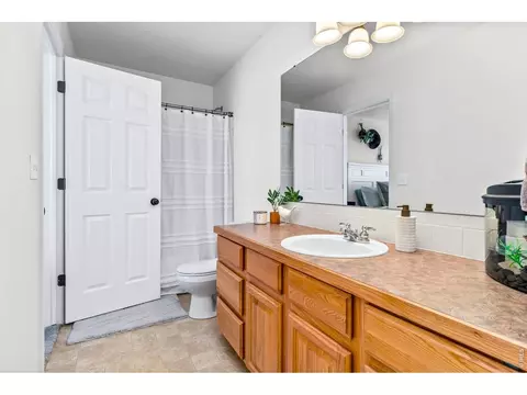 111 Bayside Cir, Windsor, CO 80550 photo 26