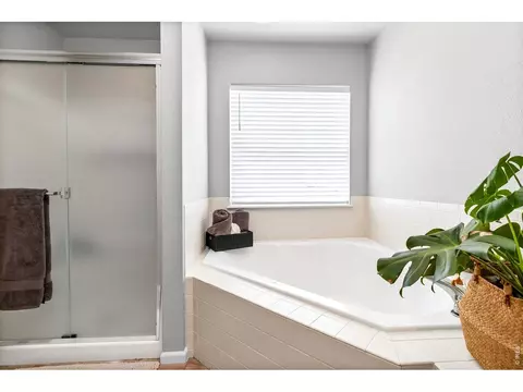 111 Bayside Cir, Windsor, CO 80550 photo 19