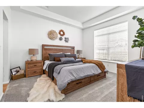 111 Bayside Cir, Windsor, CO 80550 photo 15