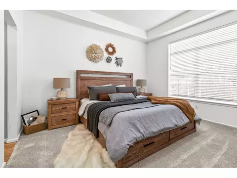 111 Bayside Cir, Windsor, CO 80550 photo 16