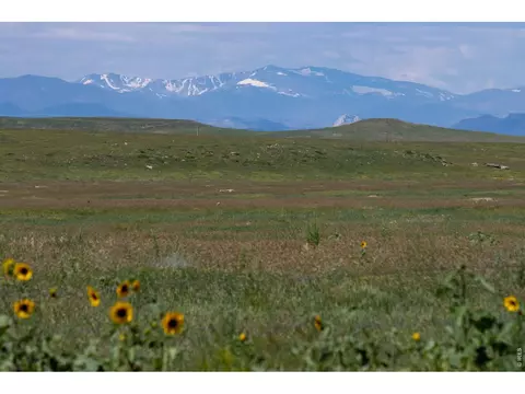 46 Tbd County Rd, Carr, CO 80612 photo 17