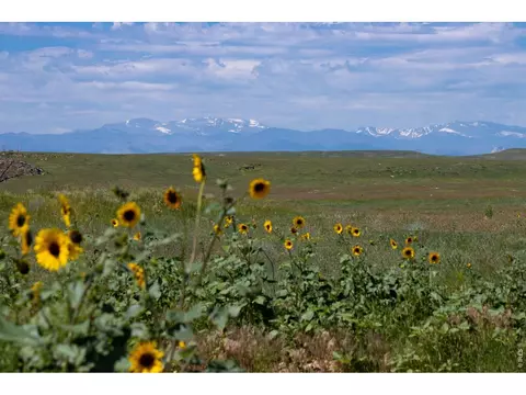 46 Tbd County Rd, Carr, CO 80612 photo 3