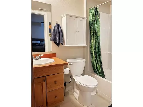 Bath - 4710 Holiday Dr #101, Boulder, CO 80304 photo 1 of 3