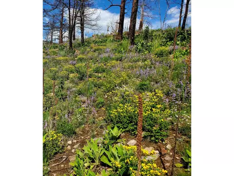 957 Stringtown Gulch Rd, Bellvue, CO 80512