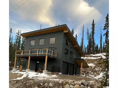 950 Gold Pan Ln, Fairplay, CO 80440