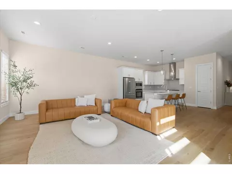 1750 Beachside Dr, Windsor, CO 80550 photo 24