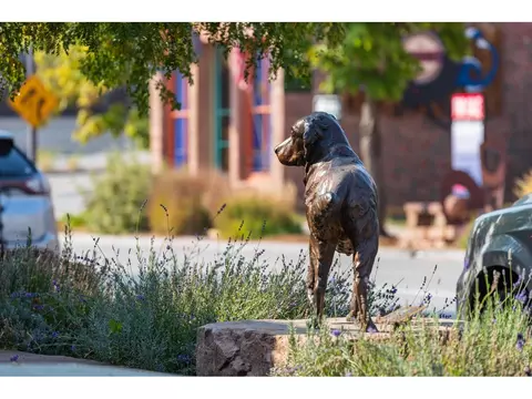 Other - 1050 Sunrise Dr, Lyons, CO 80540 photo 6 of 8