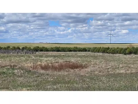 View/Area - 13313 County Road 75, Fleming, CO 80728 photo 1 of 1
